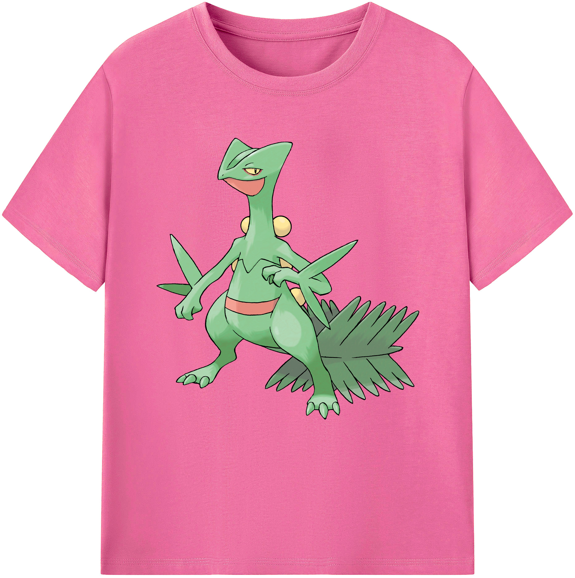 （画像用） ポケットモンスター Pokémon レディースカジュアルプリントTシャツ（綿100％）